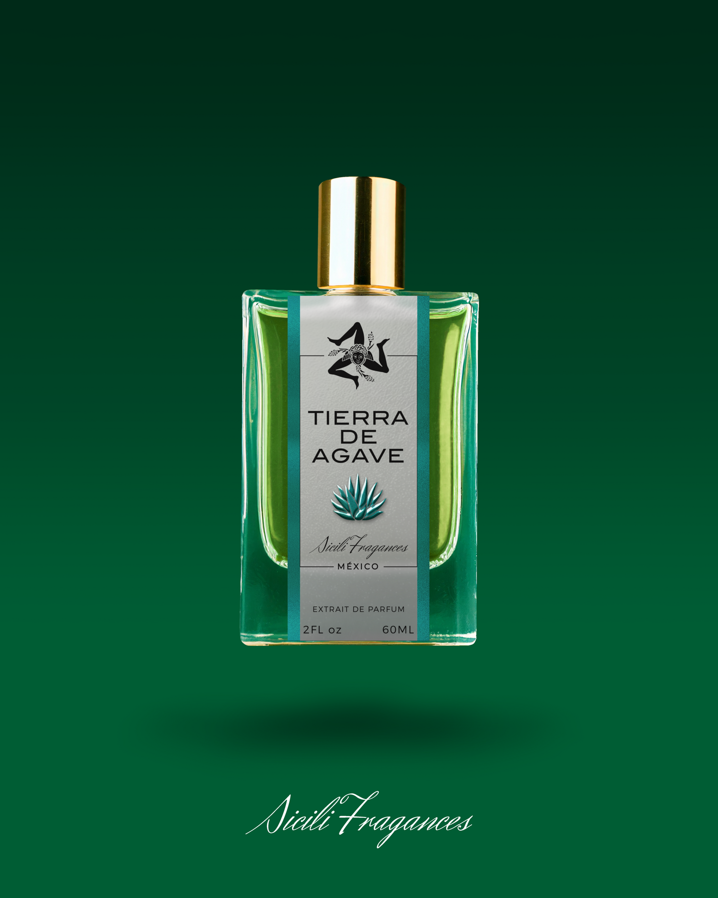 PREVENTA - Tierra de agave